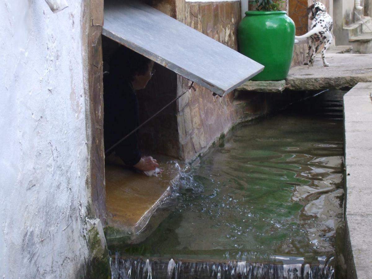 Apartamento El Benicadell Daire Adzaneta de Albaida Dış mekan fotoğraf